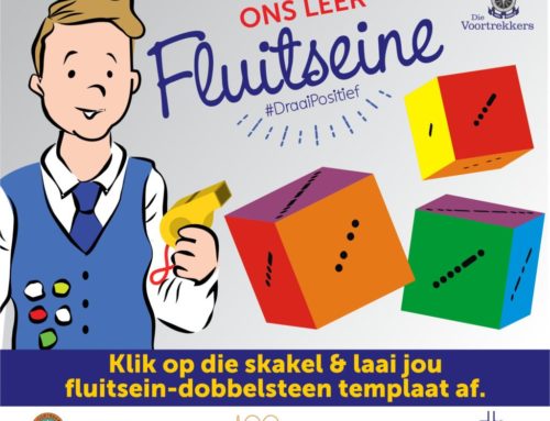 Fluitseine